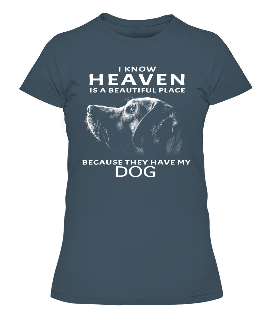 I Know Heaven Is A Beautiful Place Because They Have My Dog - Animals SKU08